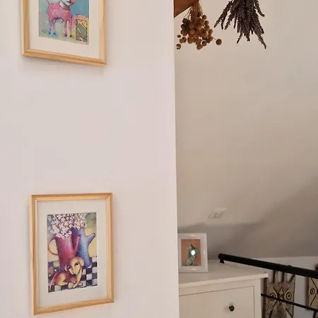 Little Nest For Two * Viscos