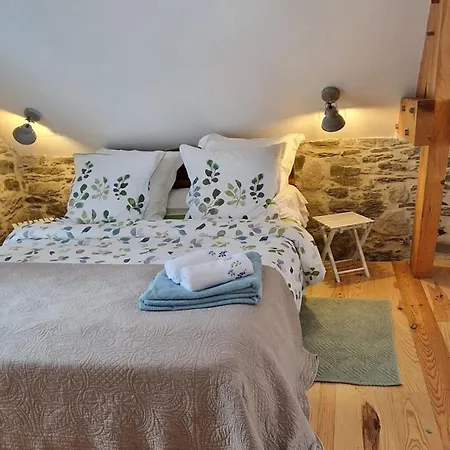 Little Nest For Two Viscos