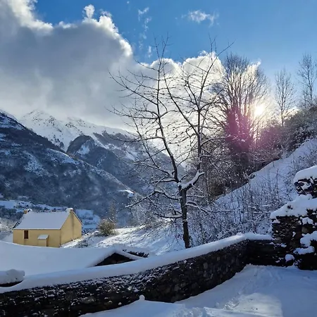 Little Nest For Two * Viscos