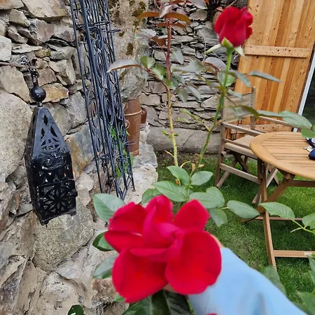 Little Nest For Two * Viscos